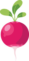 Vibrant cartoon vector illustration of a single fresh, round radish with bright magenta skin and healthy green leaves, ready for harvest.