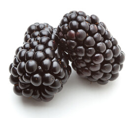 Closeup shot of fresh blackberries
