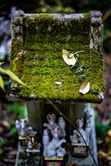 鎌倉251127　佐助稲荷神社4　銀杏