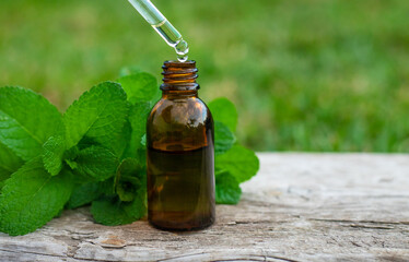 Peppermint essential oil in the garden. Selective focus.