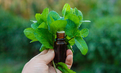 Peppermint essential oil in the garden. Selective focus. © yanadjan