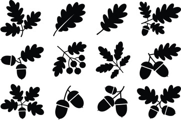 Collection of silhouettes featuring oak leaves and acorns isolated on white