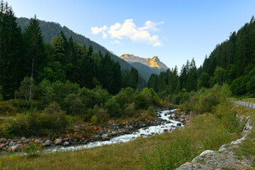 Obraz premium Alpenlandschaft mit Bergfluss und Nadelwald im Sommer