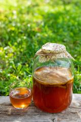 Kombucha in a jar at home. Selective focus.