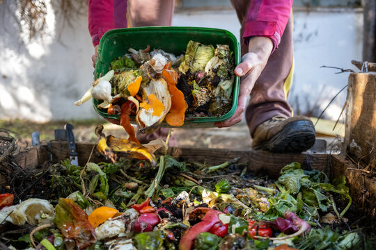 Person's hands tipping a container of kitchen waste into a garden compost heap