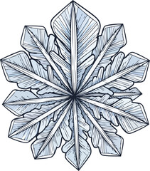 winters crystallized whispers natures intricate artistry unveiled in ice, isolated on transparent background