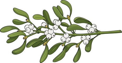 winters embrace symbolic flora for love, laughter, and lasting memories, isolated on transparent background