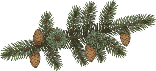 winters verdant promise bringing enduring natural beauty and festive charm home, isolated on transparent background