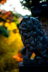鎌倉251128　建長寺12　半僧坊＆紅葉＆黄葉