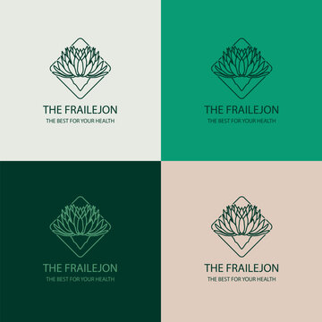 Hand drawn frailejon plant logo design with vibrant colors