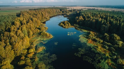 A serene aerial view of a river surrounded by lush greenery and vibrant trees, showcasing the beauty of nature and the tranquility of the landscape.