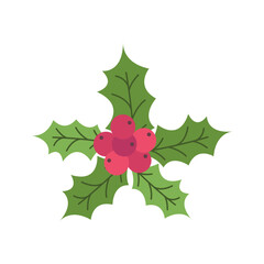 Holly leaf and red berry branch for Christmas design. Vector