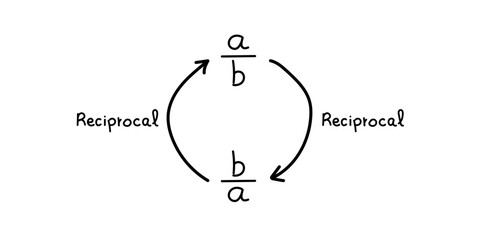 Reciprocal Expression of a Number in Math.