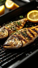 Grilled dorado fish. Healthy eating concept. Space for text, top view.