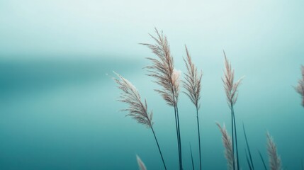 Teal themed minimalist calendar