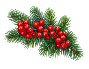 Christmas pine branch with berries isolated on transparent background