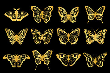 Collection of 12 golden pattern decorative butterflies, night moths.Vector graphics.