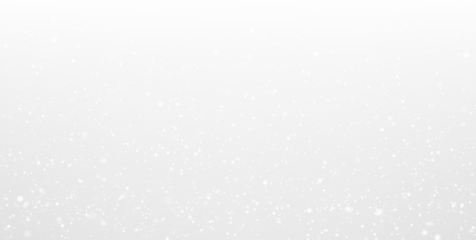 PNG overlay snow scene with gentle snowfall on a transparent background, creating a clean winter effect suitable for festive designs 41