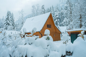 Cozy Snowy Winter Village with Traditional Houses and Peaceful Rural Landscape