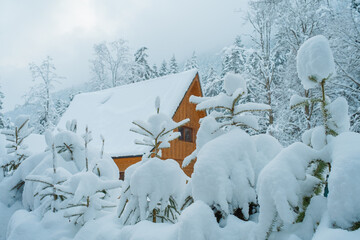Cozy Snowy Winter Village with Traditional Houses and Peaceful Rural Landscape