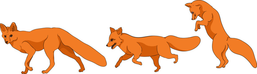 Vector colored elements of traditional horse hunting. For education materials, design 