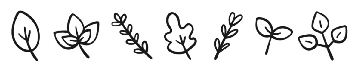 Hand Drawn Leaves and Herbs Icon Set