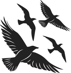 Obraz premium silhouettes of birds