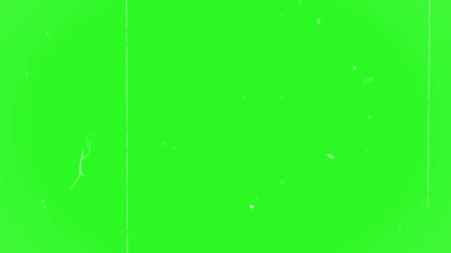 Bright green nature texture wave illustration vector backdrop design for spring floral leaf plant wallpaper