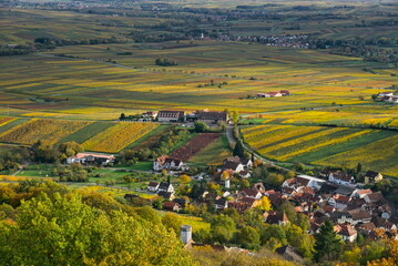 A panoramic, elevated view of the village of Leinsweiler surrounded by vineyards showing vivid yellow and golden autumn colors in the Palatinate region of Germany.