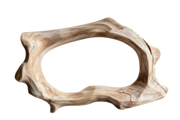 Bamboo frame shows organic curves with a blank center on a transparent background. This cut out element can be used for various design applications and displays