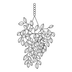 House plant in hanging macrame pot vector sketch