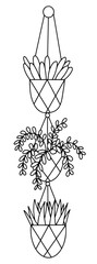 Hanging home plant in triple macrame pot vector sketch