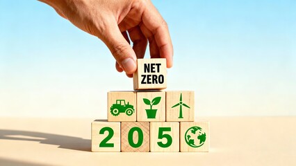 Sustainable Development Blocks Animation: Hand Stacking Eco-Themed Cubes to Form "2050"