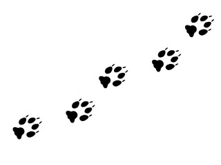 A chain of dog paw prints with claws. Illustration on a transparent background