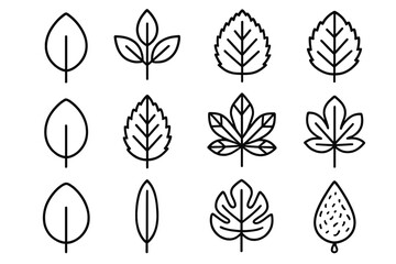 Leaf Morphology Icons. Leaf Morphology Elements linear set: simple blade, compound leaflet, serrated outline, entire margin, pinnate veins, palmate veins, broadleaf shape, narrow