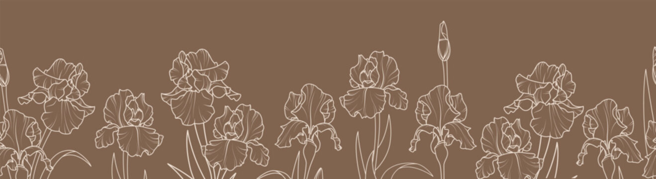 Seamless horizontal border with iris flowers. Vector illustration.
