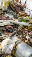 wild garbage dump. residual glass, plastics in the forest