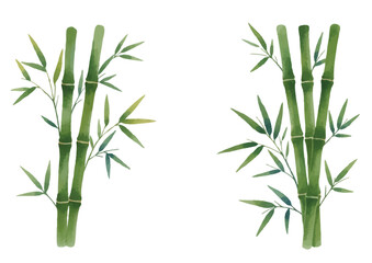 Watercolor-style bamboo and bamboo grass illustration／竹・笹