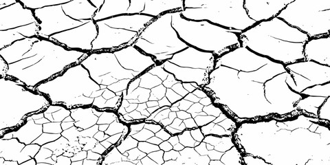 High-resolution cracked dry soil texture with intricate fracture patterns, natural organic lines, monochrome design ideal for backgrounds, geology themes, environmental concepts and compositions.