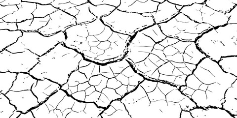 High-resolution cracked dry soil texture with intricate fracture patterns, natural organic lines, monochrome design ideal for backgrounds, geology themes, environmental concepts and compositions.
