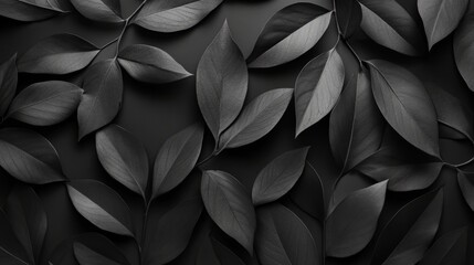 High resolution black leaves wallpaper for digital screens and background use