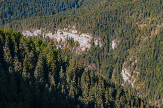 Aerial view of dense evergreen forests meet a stark, pale rock face creating a dramatic contrast in the landscape, Ohniste, Zilina Region, Slovakia. - Powered by Adobe