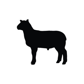 Show lamb silhouette vector flat illustration design.