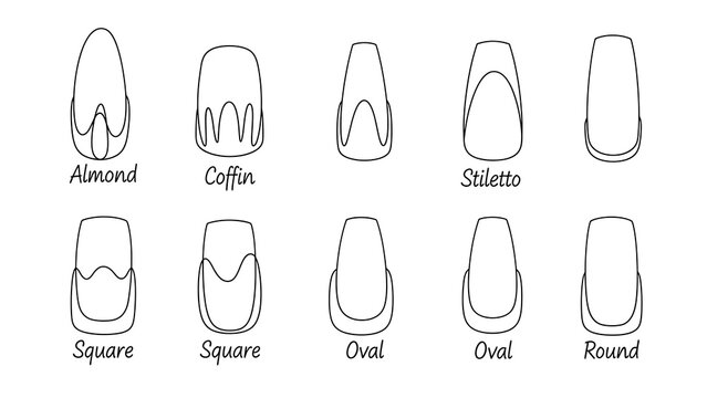 Nail Shape Chart Illustration