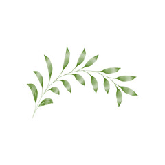 Fototapeta premium Watercolor olive branch with green leaves and stem isolated on a transparent background