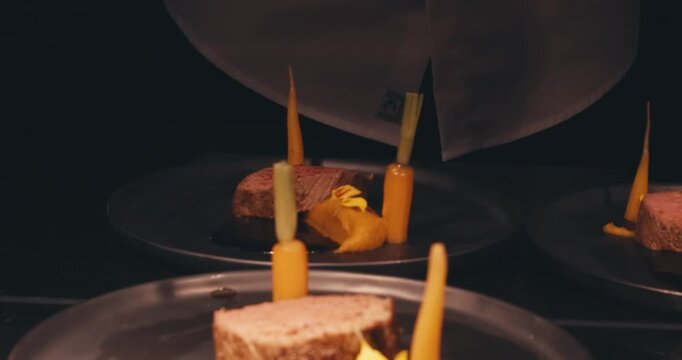 modern presentations of haute cuisine, European food establishments, restaurants with Michelin star. minimalist decoration, original serving of food. dark background professional lighting