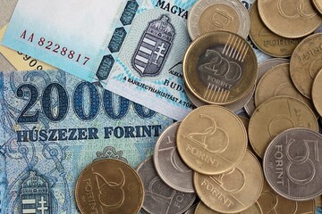 Large amount of Hungarian Forint currency money bills and coins. HUF currency banknotes and coins close up
