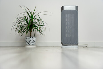 Freestanding fan heater (space heater) in a modern interior with a flower in the background (Dracaena marginata). Light white background