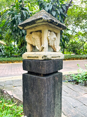 Backyard Garden Landscape Real Photo