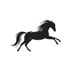 black horse vector illustration
